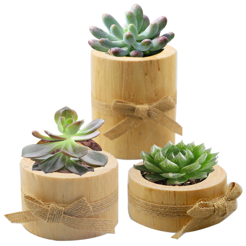 Antik Kayu Kompor Sukulen Vas  - Outdoor Furniture Wood ulasan dan harga
